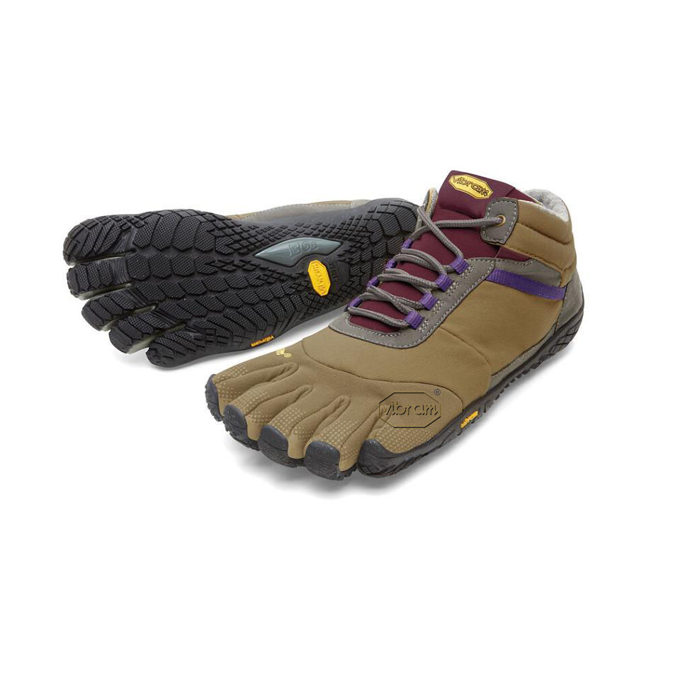 Tenis Casual Vibram Trek Ascent Insulated Mujer Kaki Morados | MX_B40